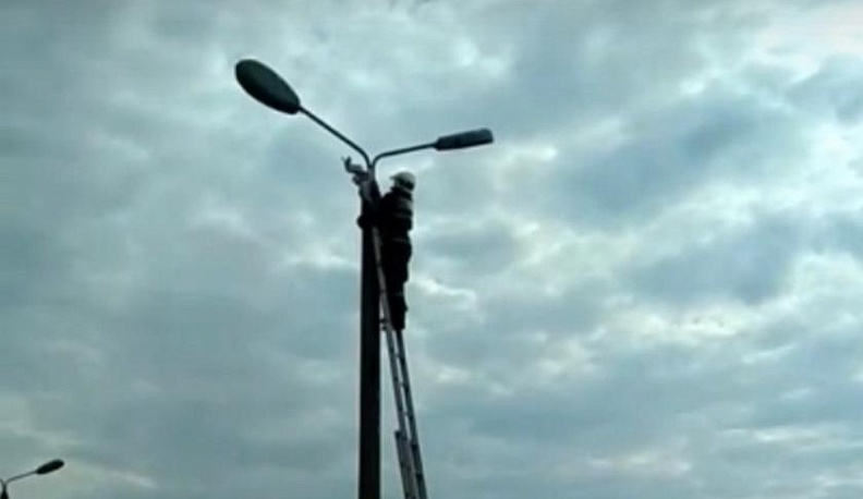  Спасатели МЧС выручили из беды чайку