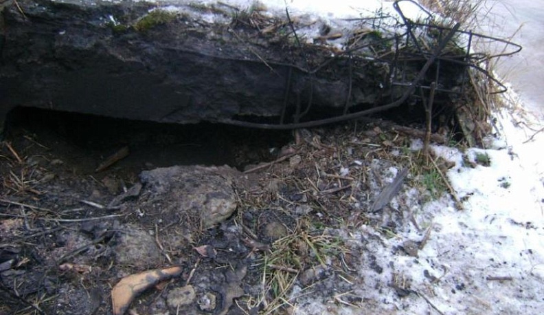 В Калужской области живодер заживо сжег собак