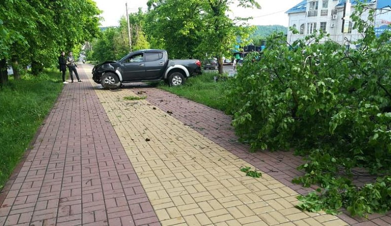 В Калуге «Митсубиси» вылетел на тротуар и снес дерево