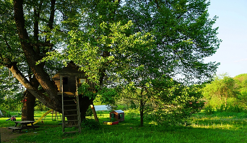 «Деревенька моя»