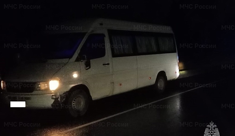 Мерседес сбил пешехода на трассе в Калужской области