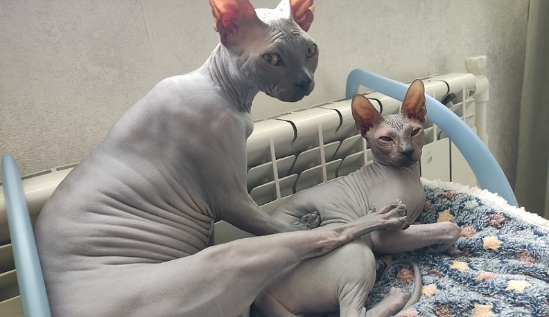 Калуга почти готова к отопительному сезону