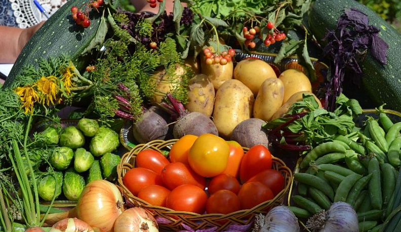 В 25-й раз калужане посоревнуются на конкурсе «Калуга урожайная»