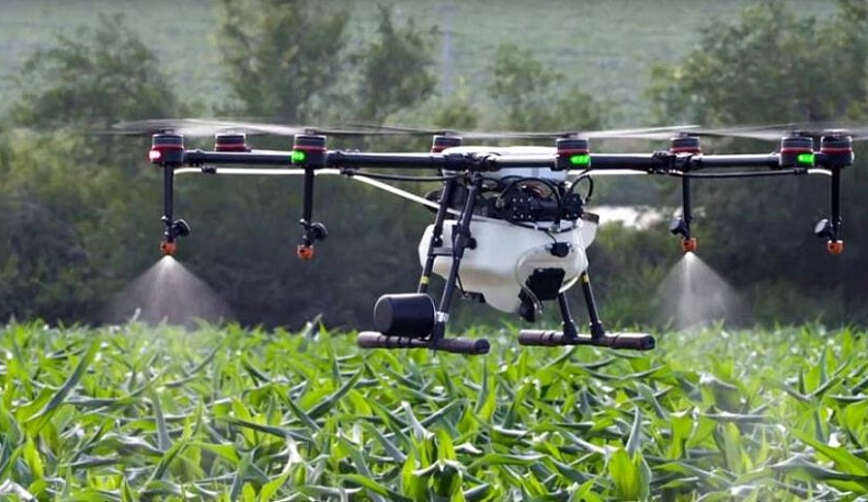 Путешествие в цифру