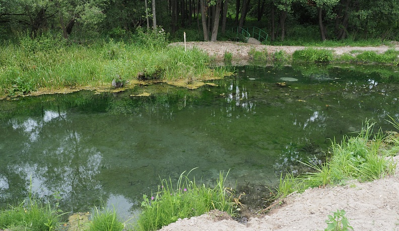 Зелень - не бронза