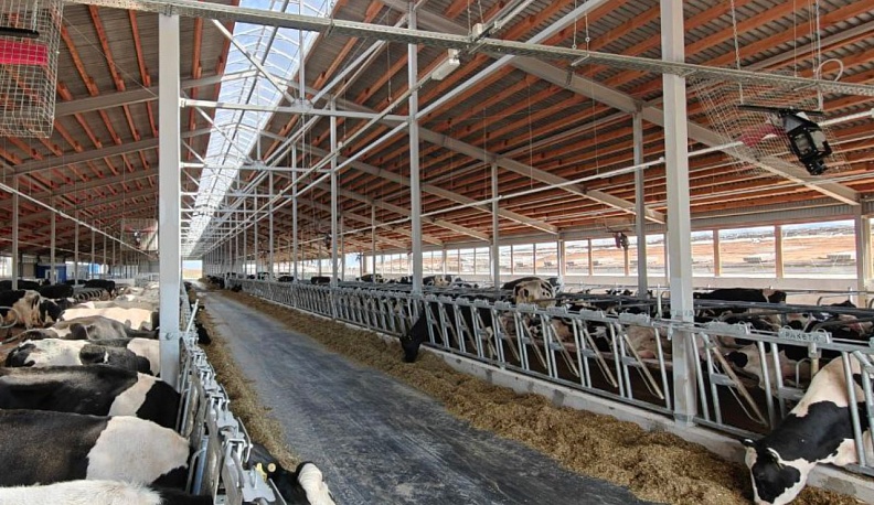Перемышльские аграрии модернизируют молочные комплексы