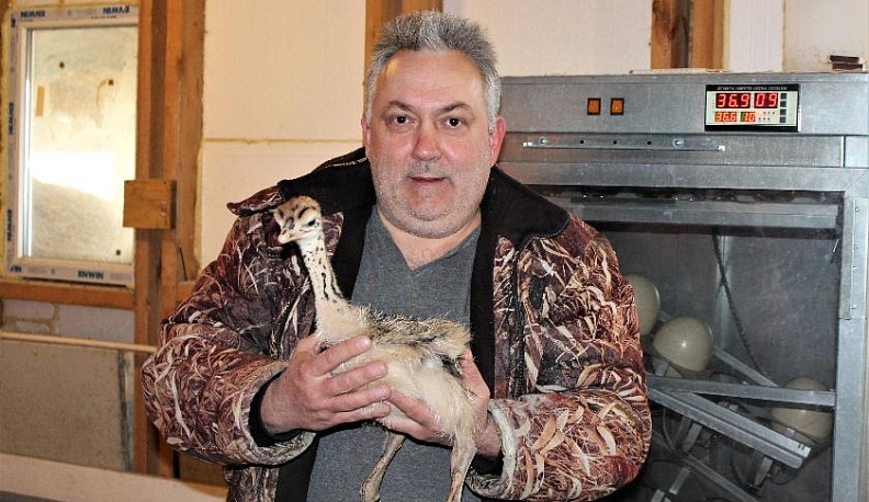 СЕЙЧАС ВЫБЕЖИТ ПТИЧКА