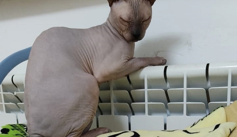 В Боровском районе жители 14 домов остаются без тепла