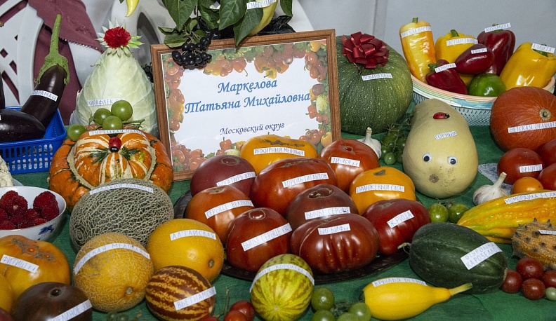 В калужском Доме народного творчества и кино «Центральный» открылась выставка даров сада и огорода