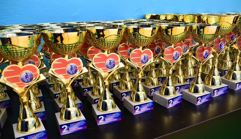 В Людинове прошло открытое Первенство района по художественной гимнастике 