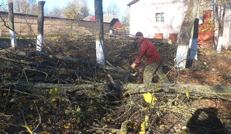 В посёлке Бетлица спилили опасные деревья