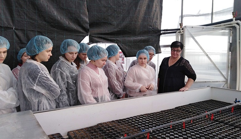 Калужских старшеклассников ориентируют на работу в сельском хозяйстве