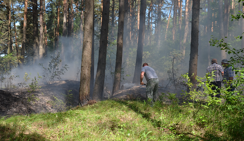Росгвардия готовится к наступлению пожароопасного периода