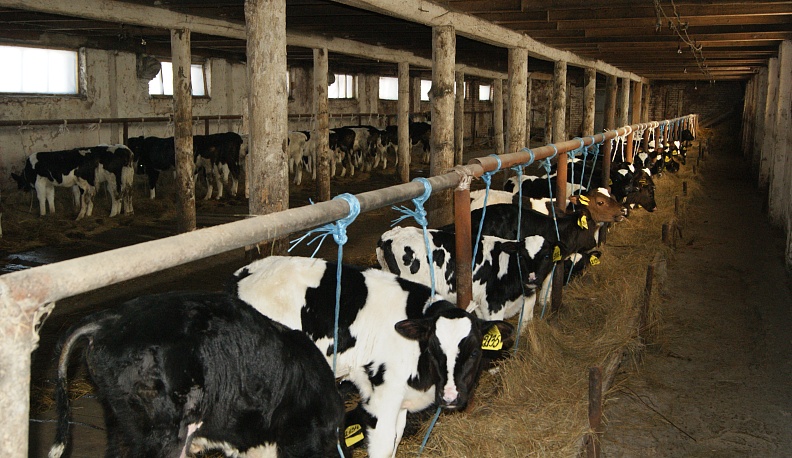 Результат без лишних затрат