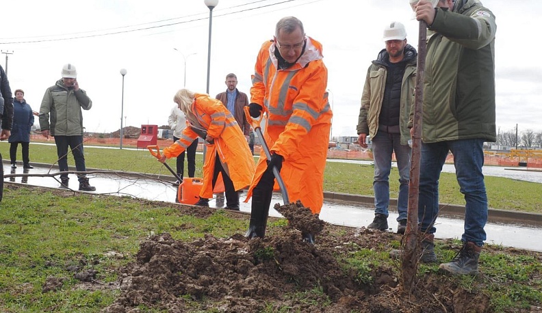 Владислав Шапша высадил липы на территории нового кампуса бауманки в Калуге