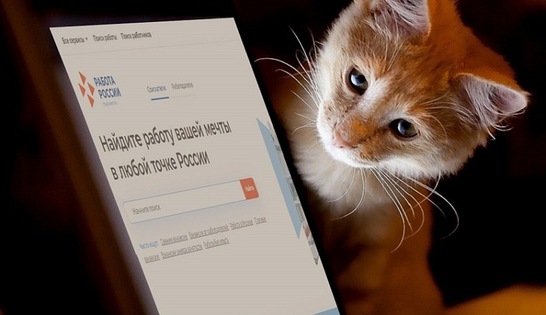 В 2022 году через единую цифровую платформу поступило 30 тысяч заявлений о трудоустройстве