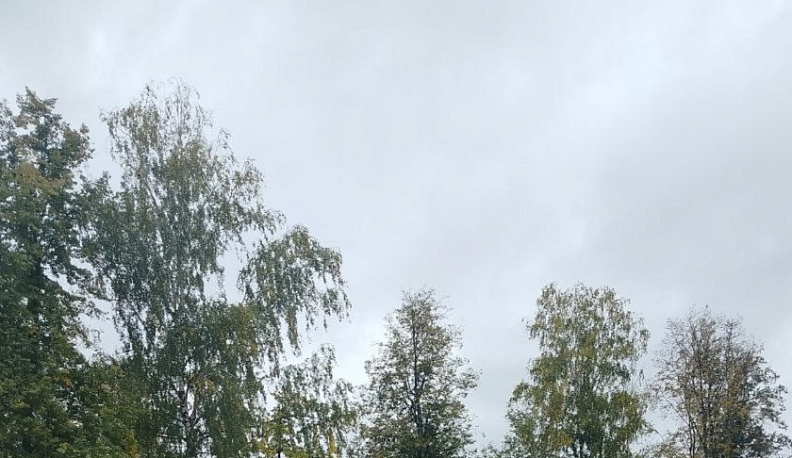 В Калужской области продолжает царствовать пасмурная погода 