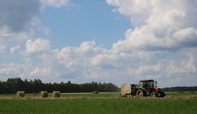 Сельхозпроизводители Юхновского района трудятся на заготовке кормов
