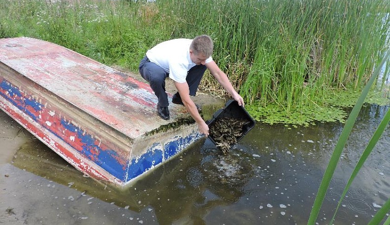 Где будут раки зимовать
