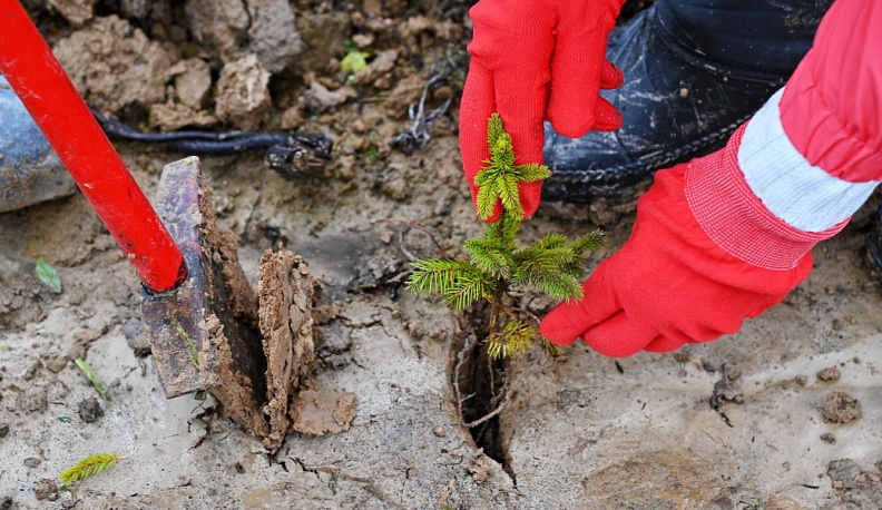 Минприроды Калужской области подвело итоги проекта «Сохранение лесов» за 2022 год