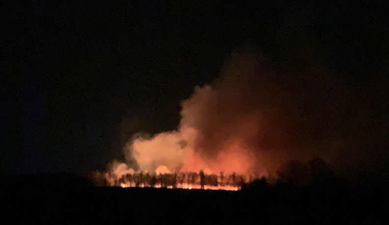 В Козельском районе ночью горел лес