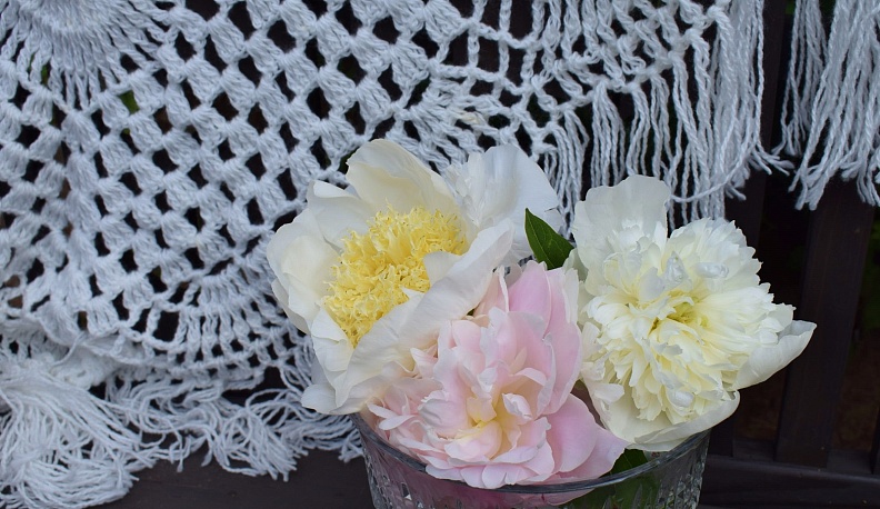 В Тарусе в Саду Ракицкого прошёл праздник пионов