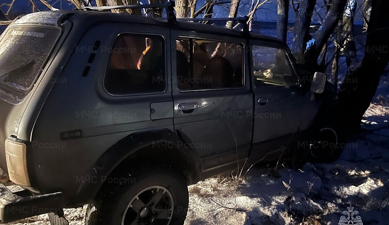 В одном из районов Калужской области машина врезалась в дерево