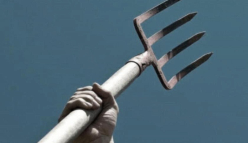 Житель Малоярославецкого района напал на женщину с вилами