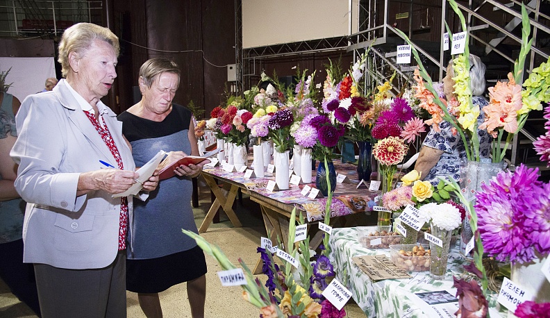 В калужском Доме народного творчества и кино «Центральный» открылась выставка даров сада и огорода