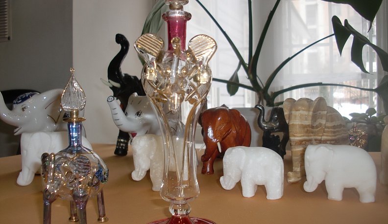 Выставка «Семь счастливых слонов» начала работу в Калуге