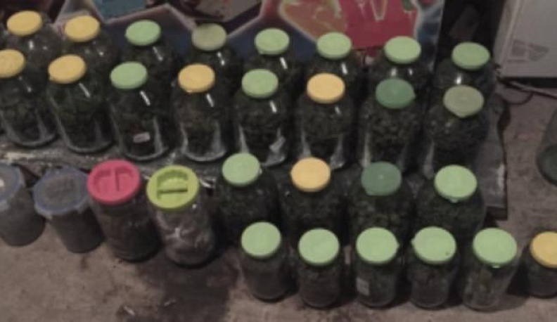 В Обнинске полицейские изъяли у задержанного 11 килограммов каннабиса