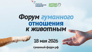 Агентство стратегических инициатив проведёт Форум гуманного отношения к животным