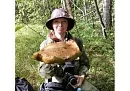 Грибоведы и грибоеды