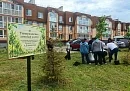 В микрорайоне Кошелев высадили 70 лип Тимирязевской аллеи